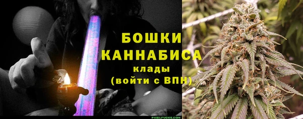 соль ск Козловка