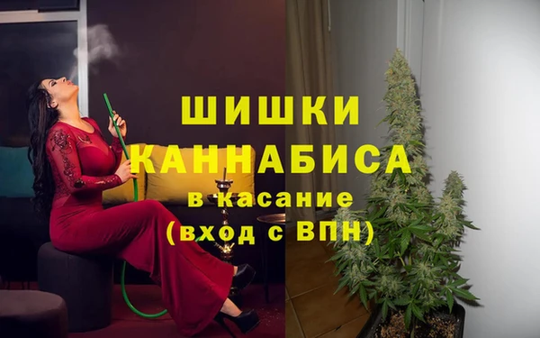 соль ск Козловка